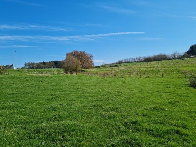 Photo La Roche en Ardenne : terrain à batir, 19a 43ca, belle situation. image 3/4