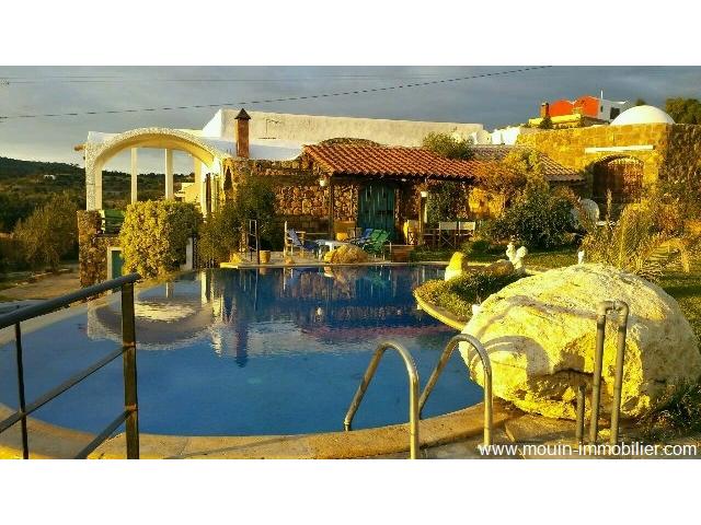 Photo La villa Du Jbal ref AL1277 Hammamet Birbouregba image 3/6