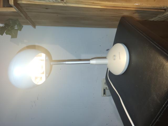 Photo Lampe Philips Desk Light grise. Classe énergétique A image 3/6