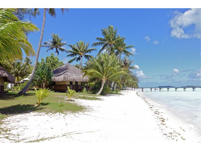 Photo Le terrain 37000 m2 avec boutique hôtel en Polynésie Française Bora Bora image 3/6