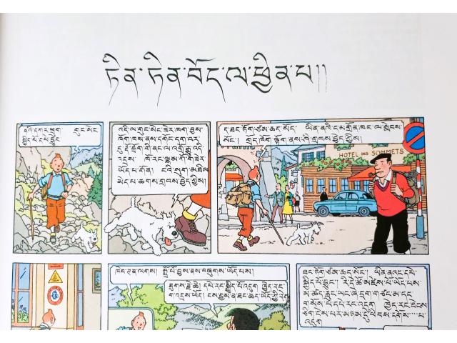 Photo Les aventures de Tintin tome 20 - Tintin au Tibet (en tibétain) image 3/6