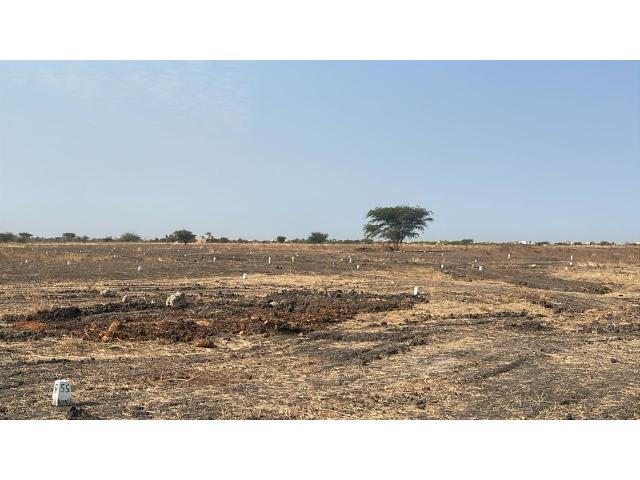 Photo Lotissement à Yenn Ndoukhoura peul image 3/3