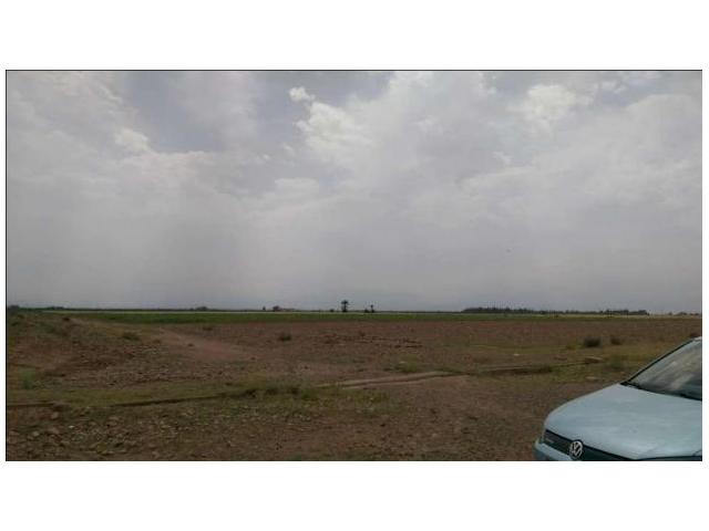 Photo Magnifique terrain 5 hectares KM 14 Ourika image 3/3