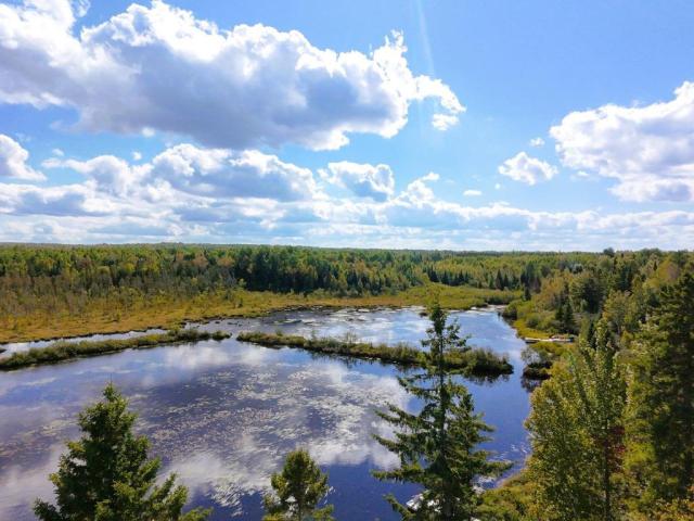 Photo Maison au bord de l'eau dans un décor enchanteur (Saint-Côme/Linière, Quebec) image 3/6