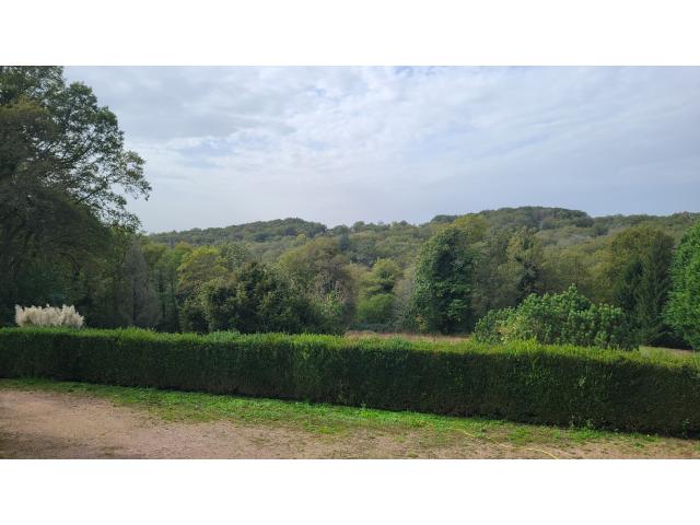 Photo MAISON AVEC 18000M2 DE TERRAIN ET PISCINE image 3/6