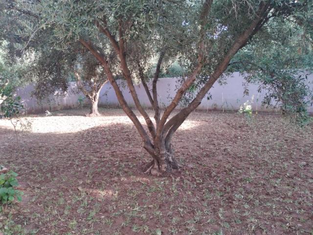 Photo maison en location image 3/3