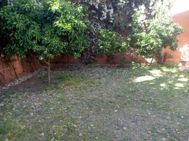 Photo maison en location image 3/5