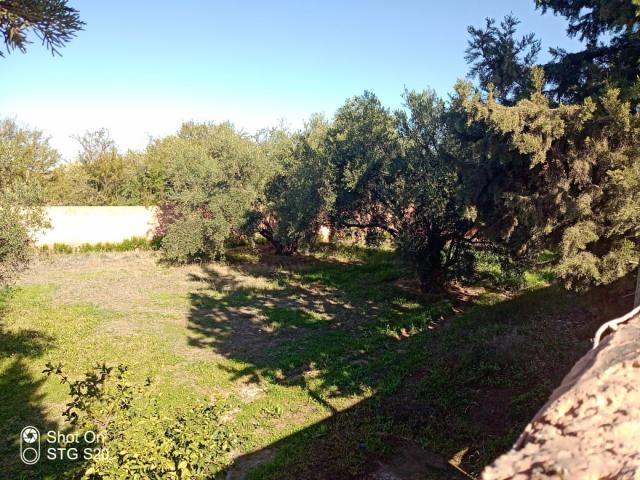 Photo maison en location à la route de l'ourika image 3/6