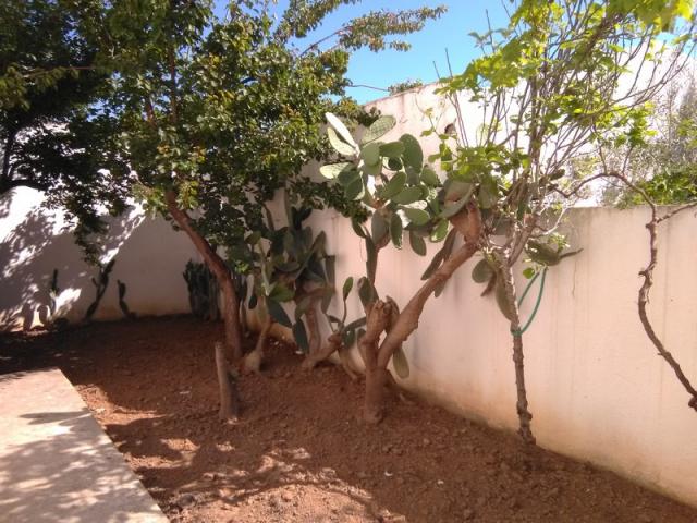 Photo MAISON S+3 AVEC JARDIN + APPARTEMENT S+3 A MREZGUA HAMMAMET image 3/6