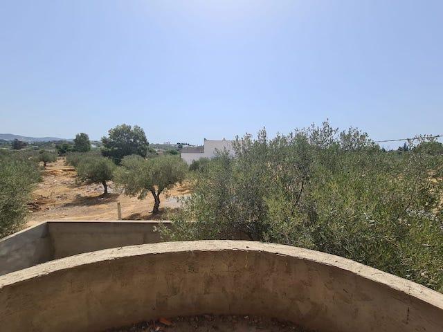 Photo MAISON SOUROUR Baraket Essahel AV1550 image 3/6