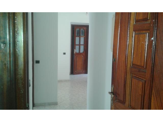 Photo Merveilleuse Appartement en location image 3/6
