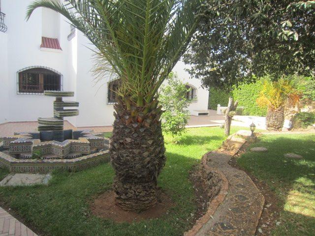 Photo Merveilleuse villa à Rabat Hay riad image 3/6