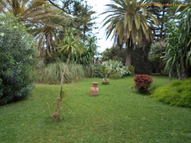 Photo Merveilleuse villa en location à Rabat Harhoura image 3/6