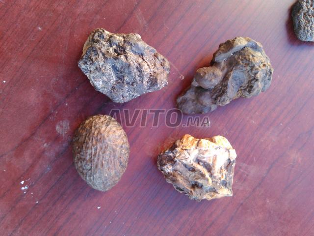 Photo meteorite image 3/3