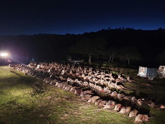 Photo MONTÉRIAS EN TERRITOIRES OUVERTS. image 3/6