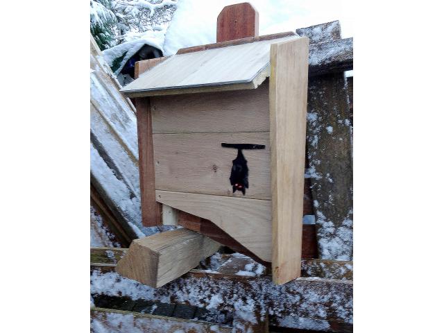 Photo Nichoir chauve souris image 3/4