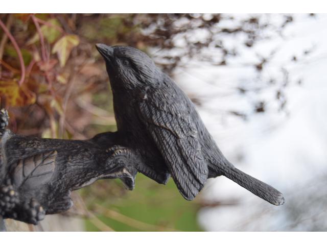 Photo OISEAU EN BRONZE image 3/6