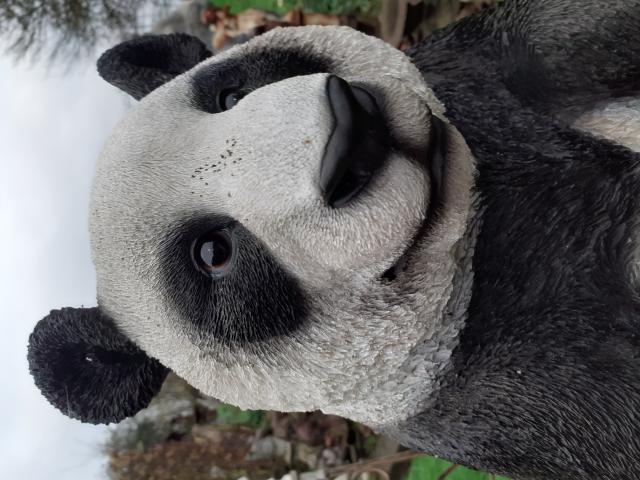 Photo PANDA EN POLYRESINE DE GRANDE QUALITE image 3/6
