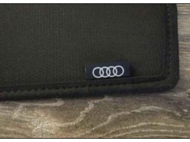 Photo Pare soleil pour Audi image 3/5