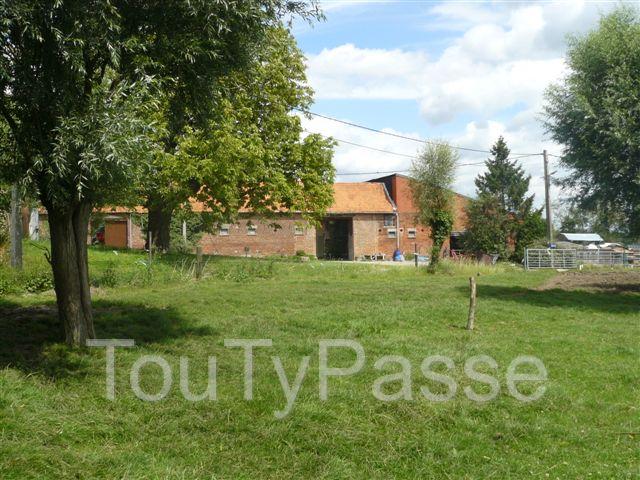 Photo pension tout confort pour chevaux (8 km de Tournai) Velaines image 3/6