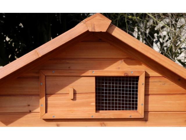Photo Poulailler Graveson abri poule XXL enclos poule parc poule GEANT maison poule coq image 3/3