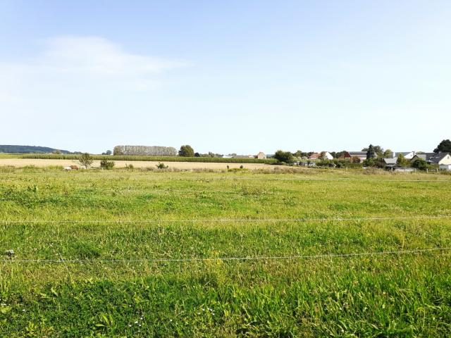 Photo Prairie à louer image 3/5