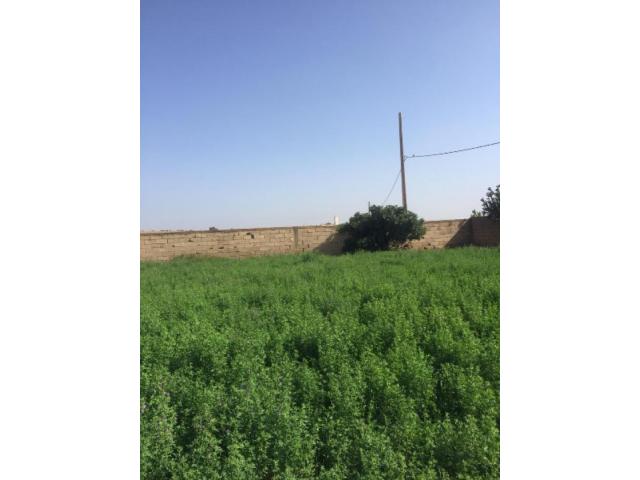Photo Projet dune ferme avec 8 HANGARD A WLED ZYAN ROUTE ELGARA image 3/4