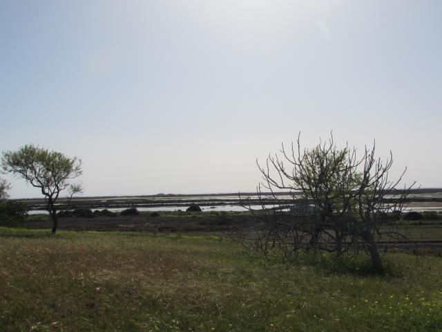 Photo propriété    face a  l ocean image 3/6