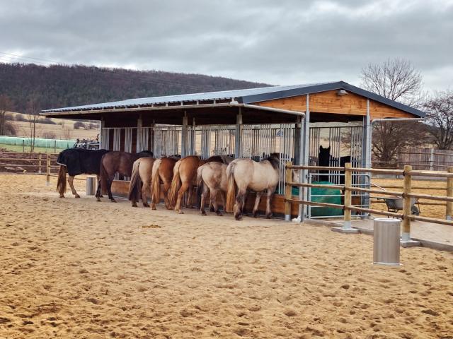 Photo Râtelier à foin pour chevaux & Râtelier intégré dans un Abri | Abri pour chevaux image 3/6