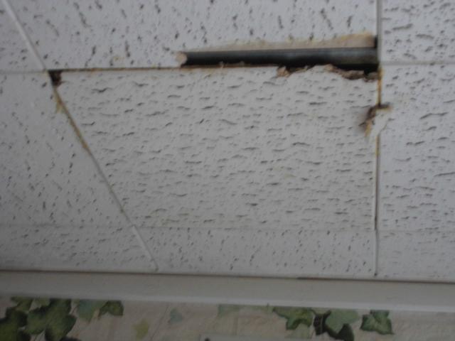 Photo recherche dalle plafond image 3/3