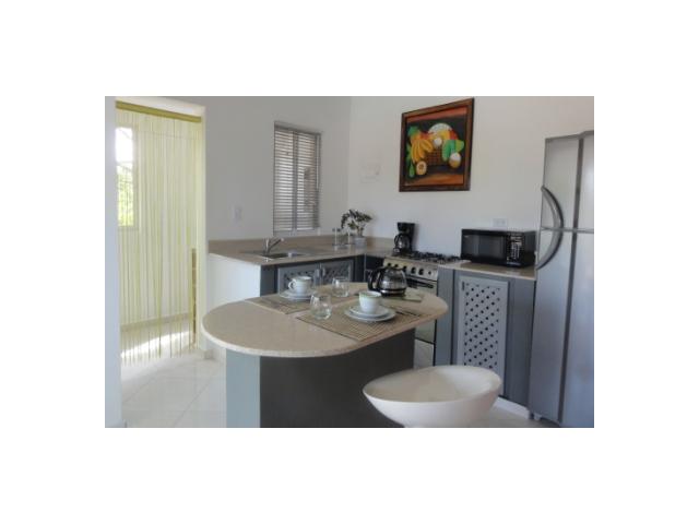 Photo République Dominicaine Las Terrenas Appartement A vendre image 3/6