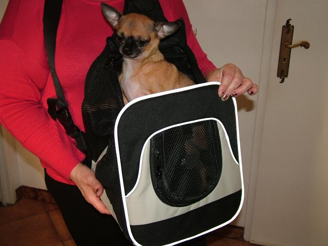 Photo sacs de transport pour petits chiens image 3/6