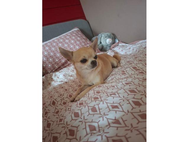 Photo Saillie image 3/4