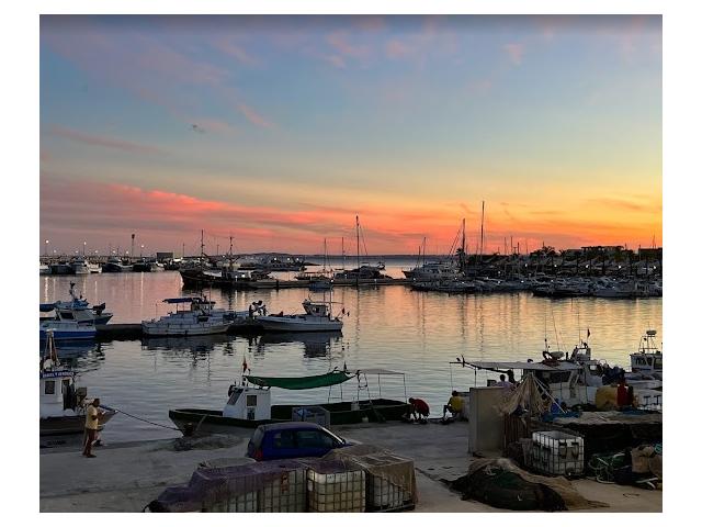Photo Santa Pola. Espagne Alicante. fonds de commerce bar restaurant au port image 3/5
