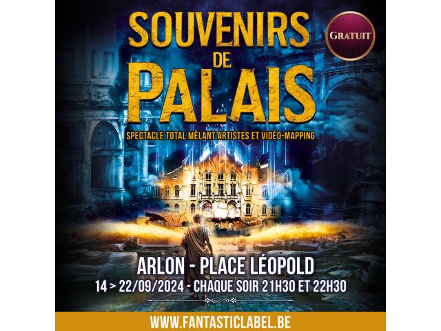Photo Souvenirs de Palais - Spectacle monumental à Arlon image 3/3