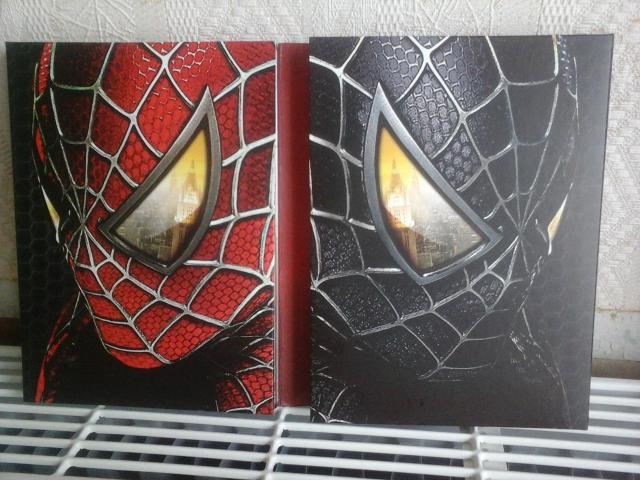 Photo Spiderman 3 image 3/3