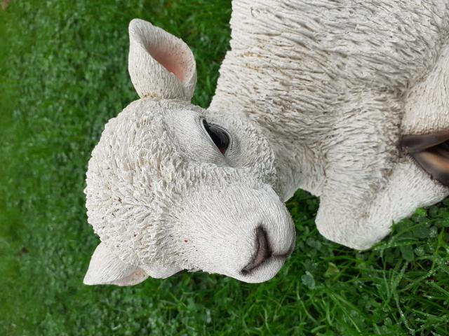Photo SUPERBE AGNEAU EN POLYRESINE DE GRANDE QUALITE image 3/6