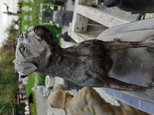 Photo SUPERBE BOXER ASSIS EN BRONZE SUR SOCLE MARBRE image 3/6