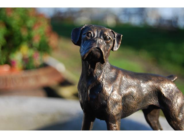 Photo SUPERBE BOXER EN BRONZE SUR SOCLE EN MARBRE. image 3/6