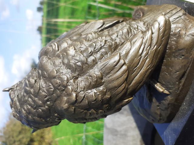 Photo SUPERBE BRONZE ANIMALIER (le hibou et la tête de mort) image 3/6