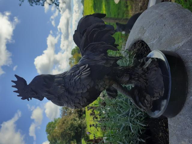 Photo Superbe bronze animalier signé sur socle marbre(le coq) image 3/6
