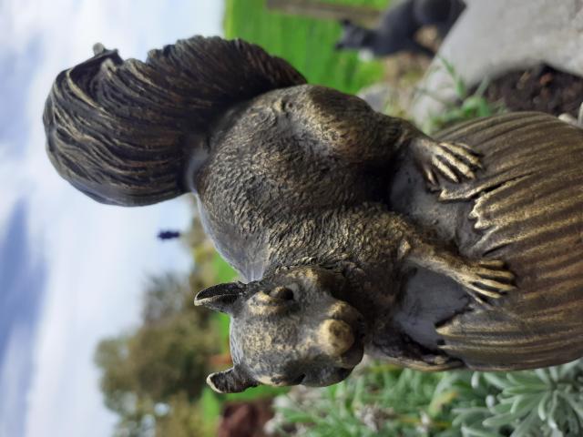 Photo SUPERBE BRONZE ANIMILIER SIGNE (l'écureuil) image 3/6