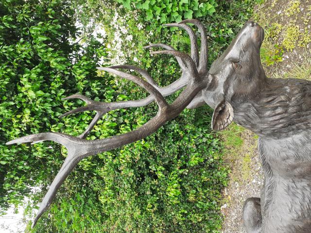 Photo SUPERBE CERF COUCHE EN BRONZE (grandeur nature). image 3/6