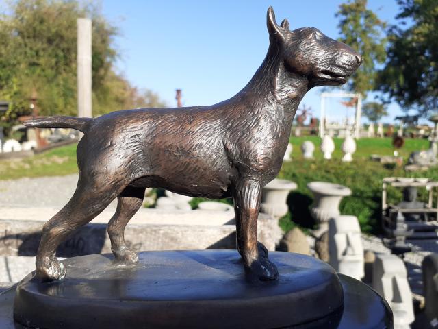 Photo SUPREBE BULL TERRIER EN BRONZE SUR SOCLE MARBRE image 3/6