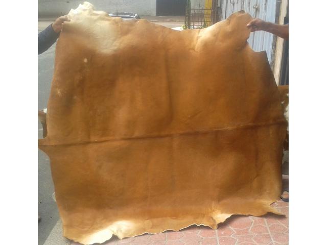 Photo Tapis peau de vache naturelle image 3/6