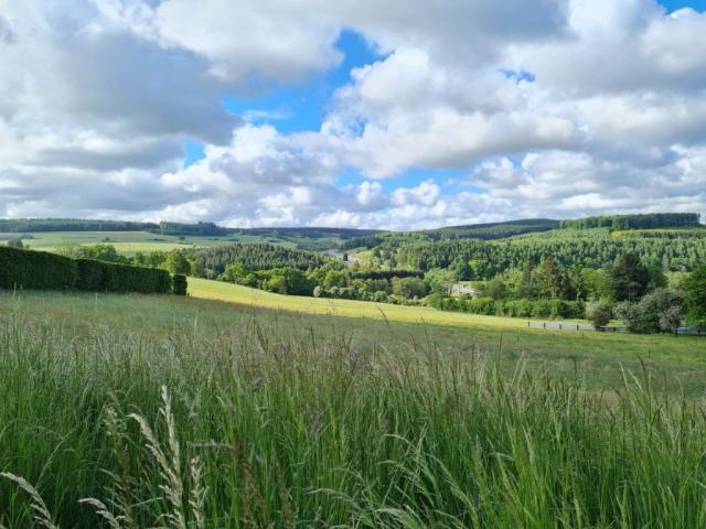 Photo Tenneville - Ortheuville : terrain à batir, 14a 79ca, pour maison 4 faç. image 3/3