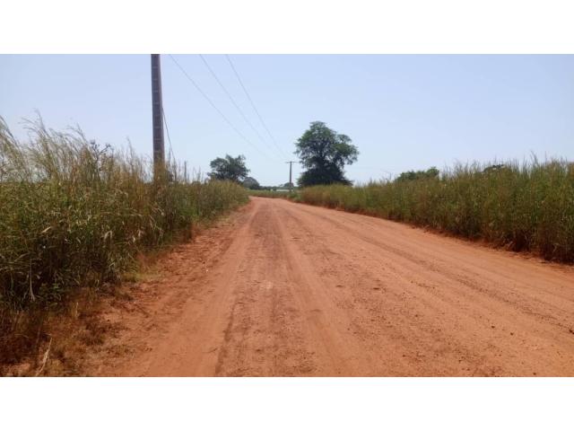 Photo Terrain 1 hectare à vendre à Mbourokh Sénégal image 3/3