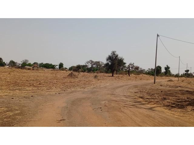 Photo Terrain 1 hectare à vendre à Sandiara Sénégal image 3/3