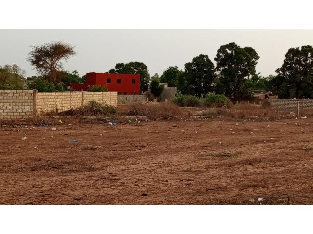 Photo Terrain 1000 mètres carrés à vendre à Nguérigne Sénégal image 3/3