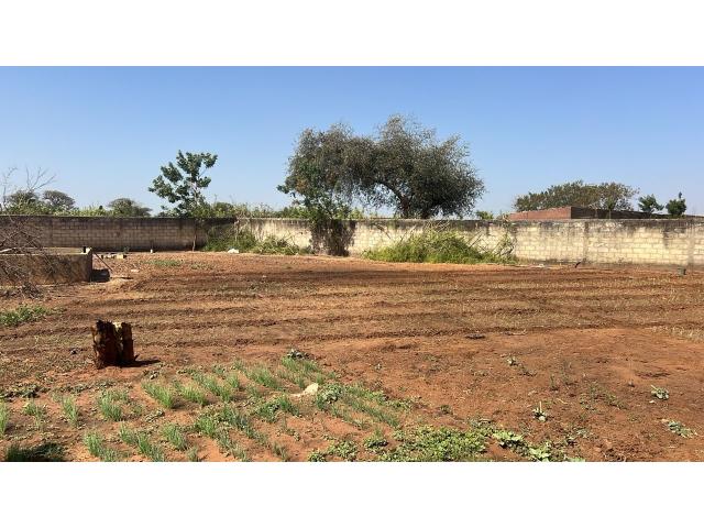 Photo Terrain 1500 mètres carrés à vendre à Nguérigne Sénégal image 3/4